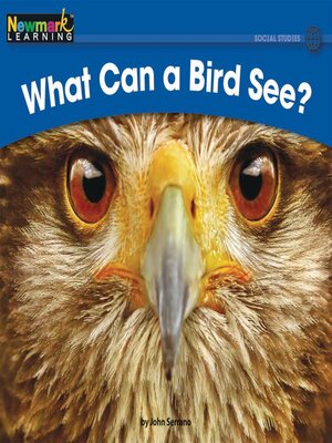 cover image of What Can a Bird See?